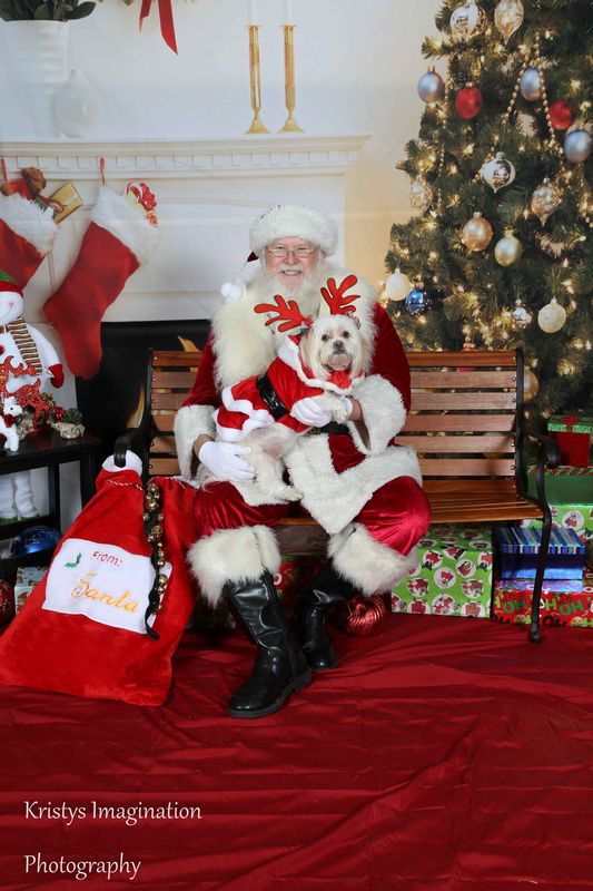 XmasCC2015-38.jpg