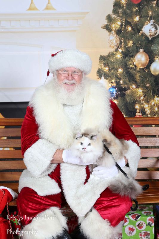 XmasCC2015-54.jpg