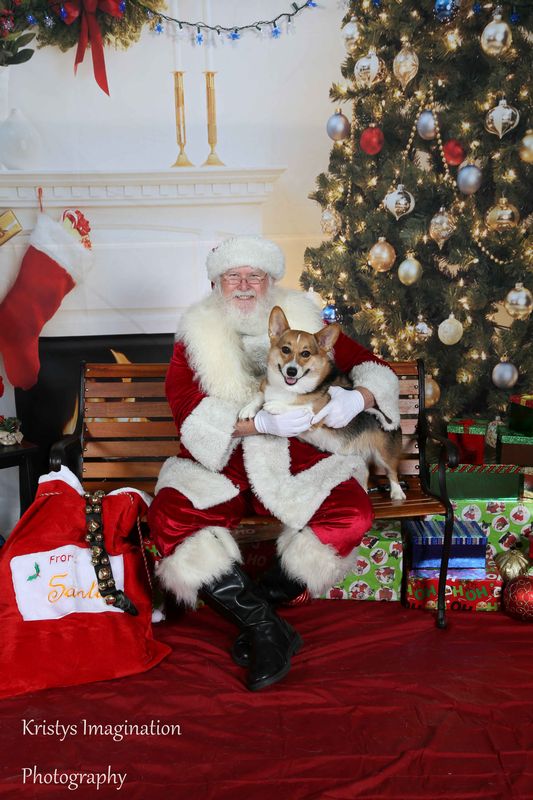 XmasCC2015-55.jpg