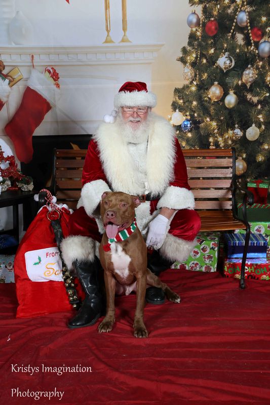 XmasCC2015-68.jpg