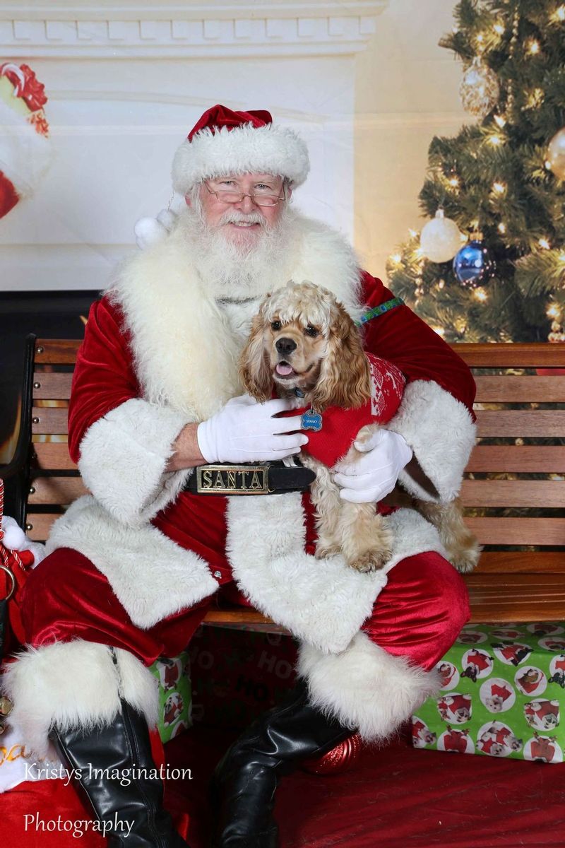 XmasCC2015-82.jpg