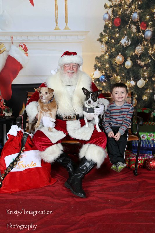 XmasCC2015-91.jpg