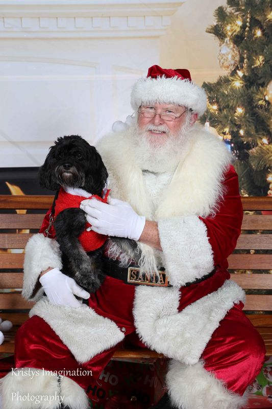 XmasCC2015-96.jpg