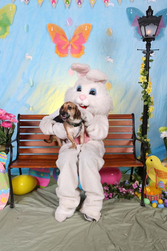 Easter2016-110.jpg