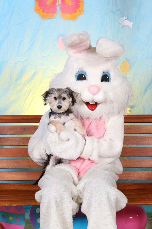 Easter2016-111.jpg
