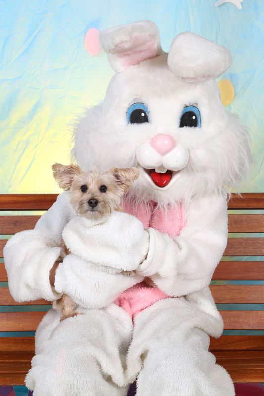 Easter2016-112.jpg