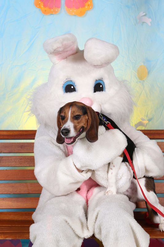 Easter2016-113.jpg