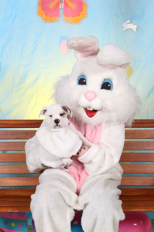 Easter2016-114.jpg