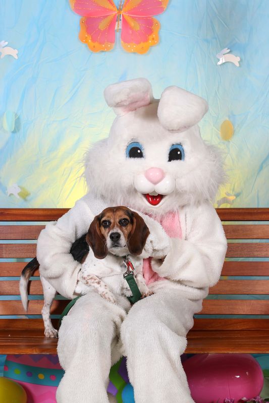 Easter2016-124.jpg