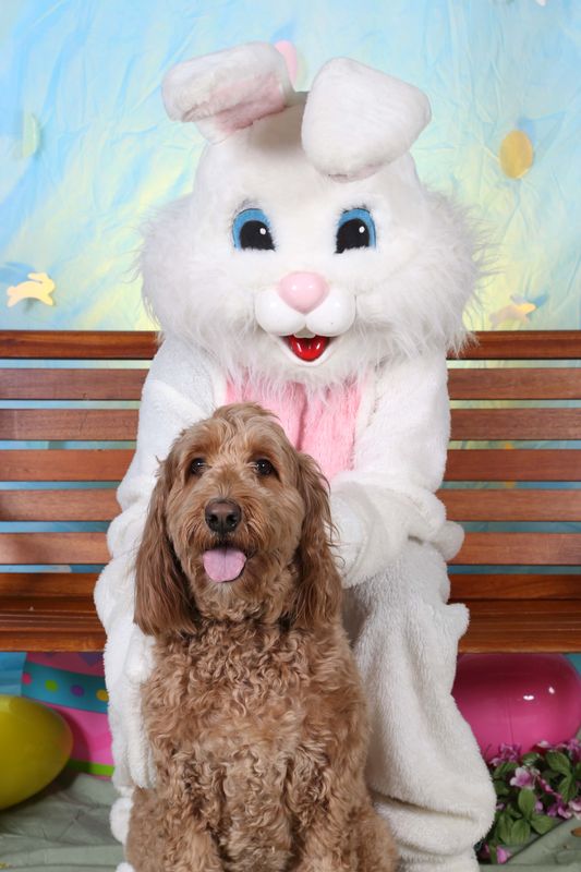 Easter2016-130.jpg