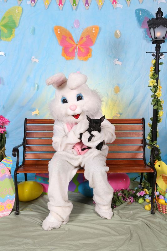 Easter2016-133.jpg