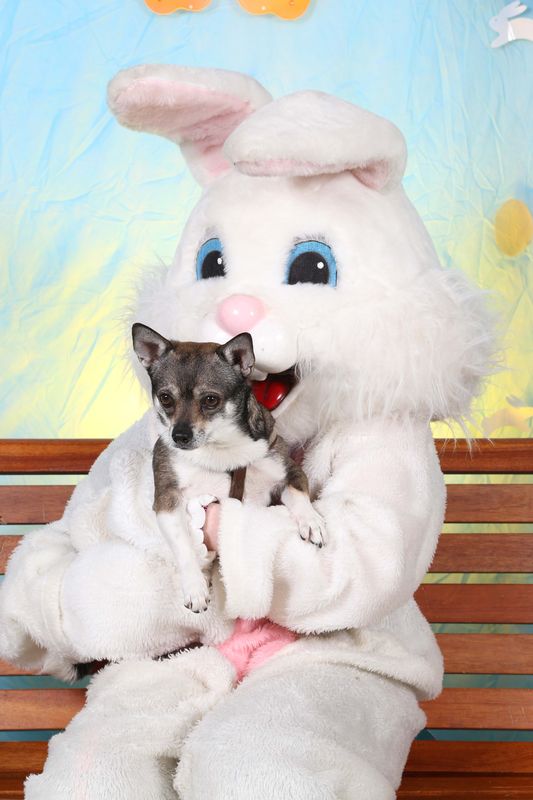 Easter2016-137.jpg