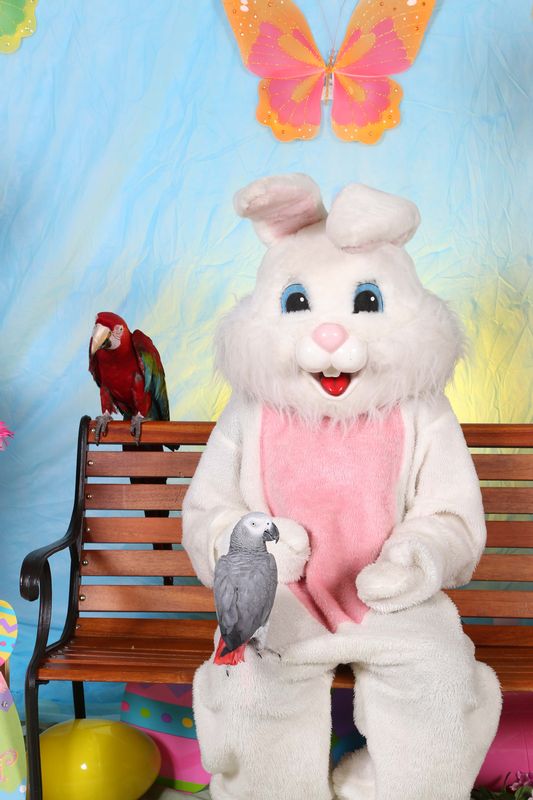 Easter2016-139.jpg