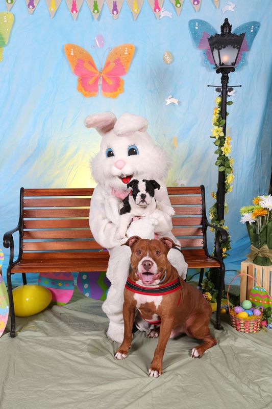 Easter2016-141.jpg