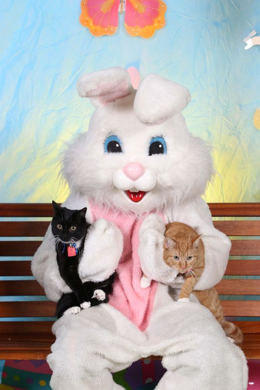 Easter2016-143.jpg