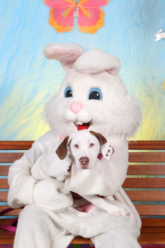 Easter2016-144.jpg