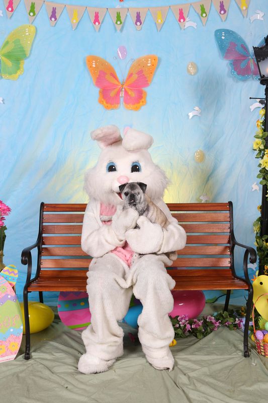 Easter2016-146.jpg