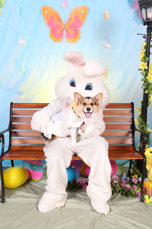 Easter2016-80.jpg
