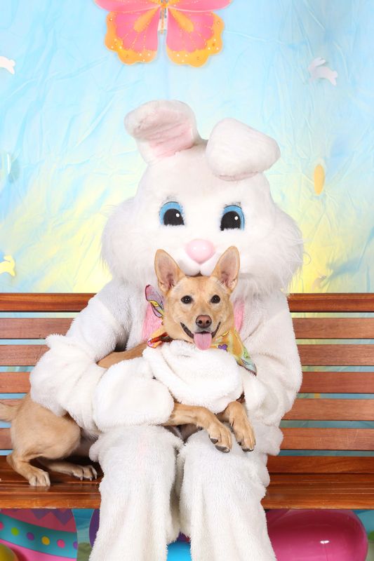 Easter2016-81.jpg