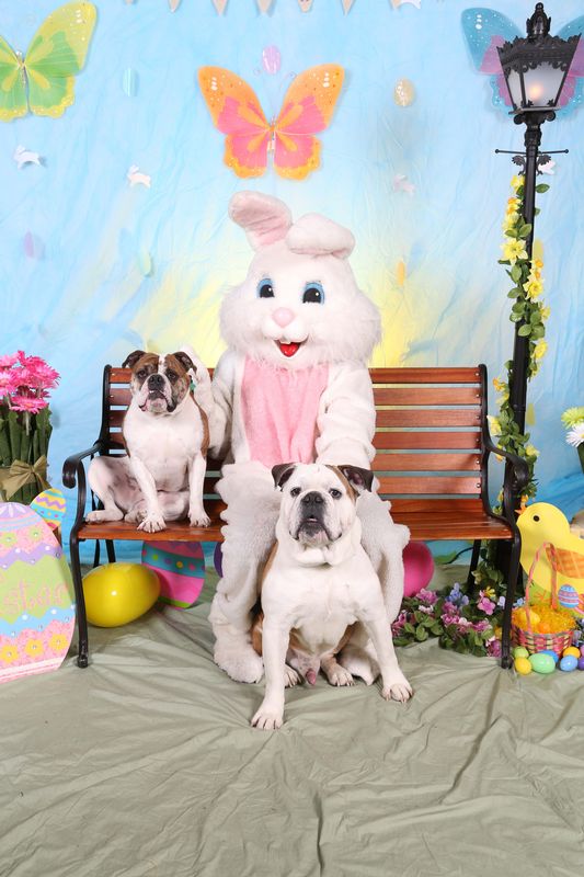 Easter2016-82.jpg