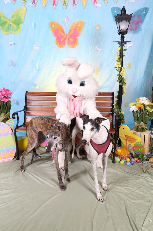 Easter2016-87.jpg