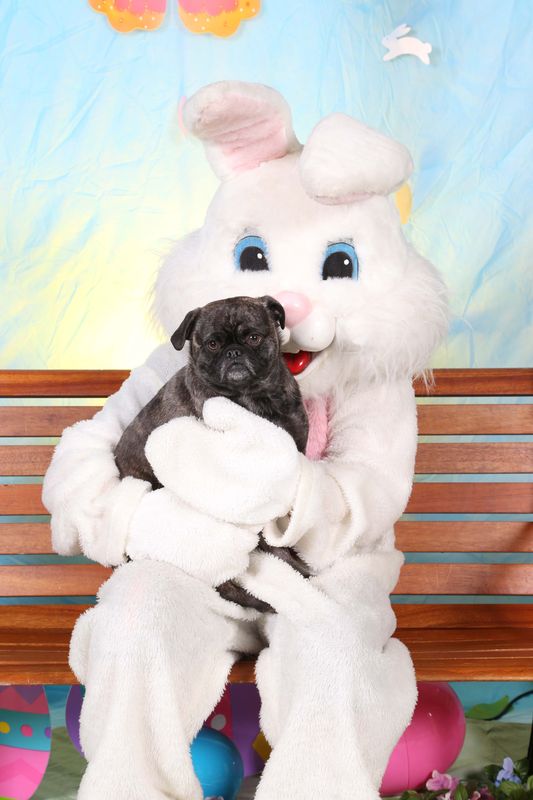 Easter2016-88.jpg