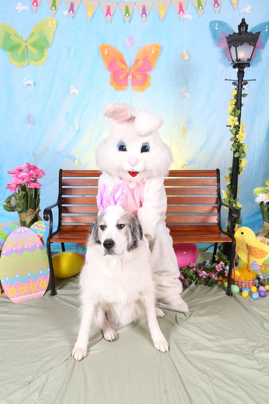 Easter2016-96.jpg