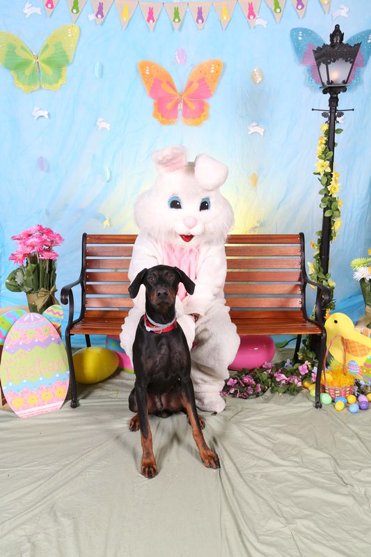 Easter2016-97.jpg