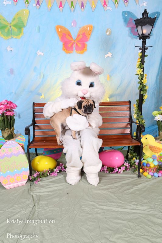 easter2016cc-1.jpg