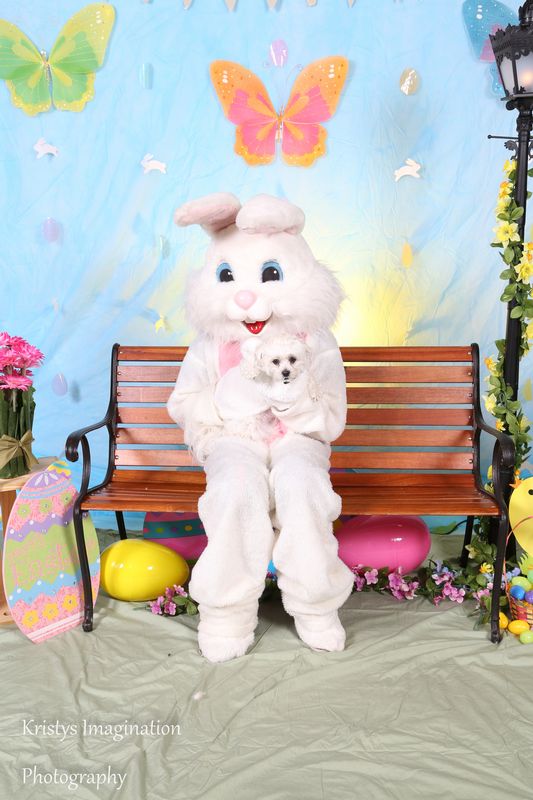 easter2016cc-11.jpg