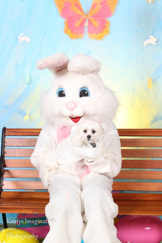 easter2016cc-12.jpg