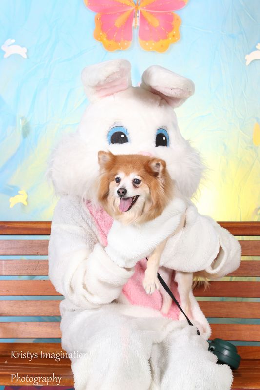 easter2016cc-13.jpg