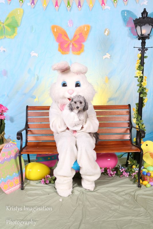 easter2016cc-14.jpg