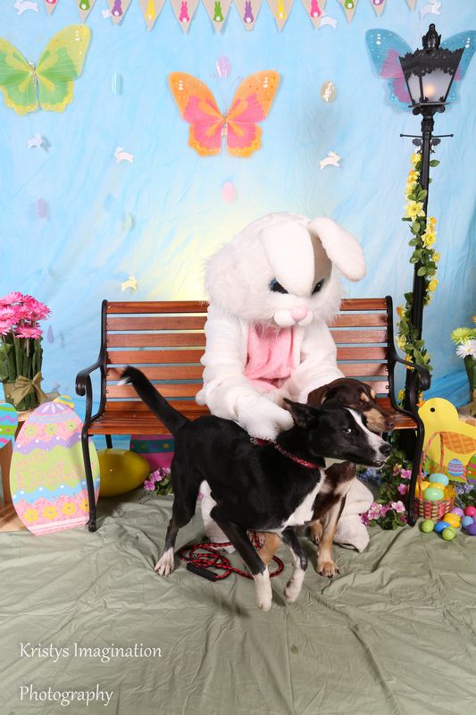 easter2016cc-16.jpg