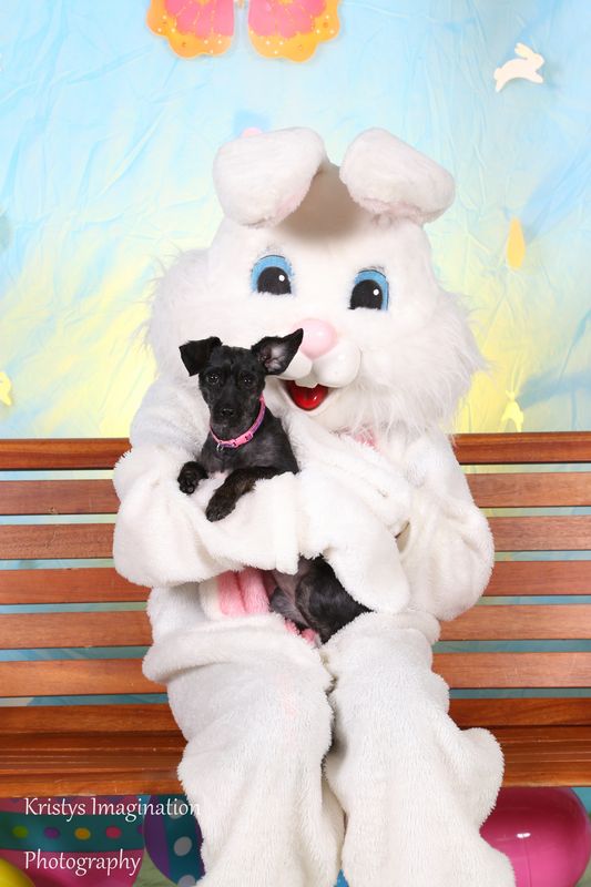 easter2016cc-19.jpg