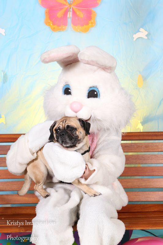 easter2016cc-2.jpg