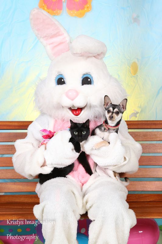easter2016cc-29.jpg