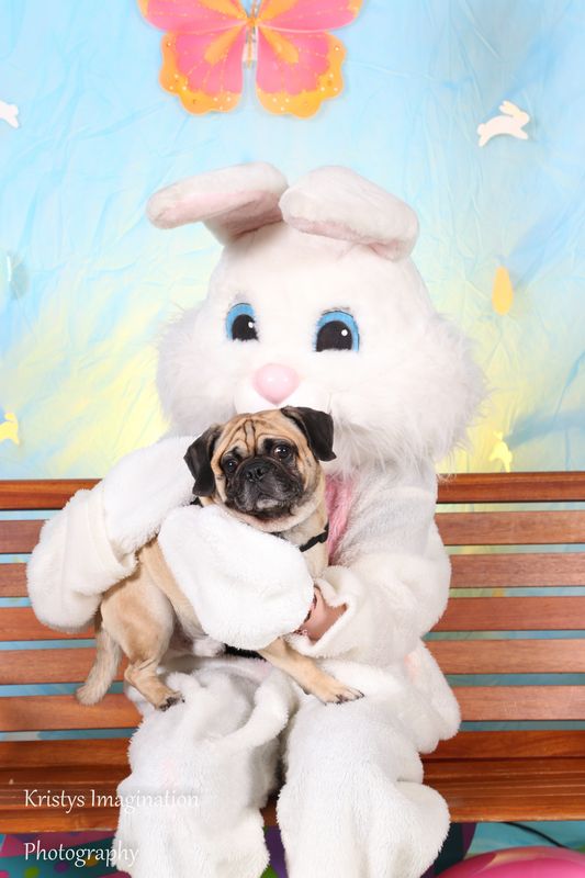 easter2016cc-3.jpg