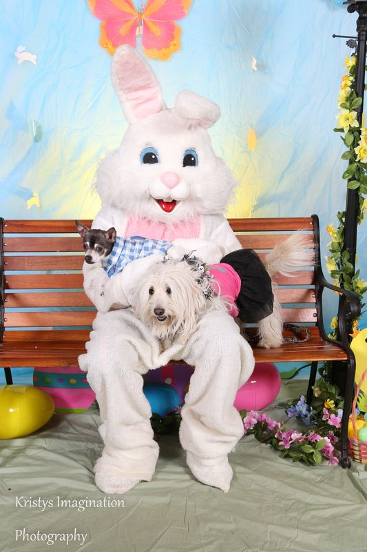 easter2016cc-34.jpg