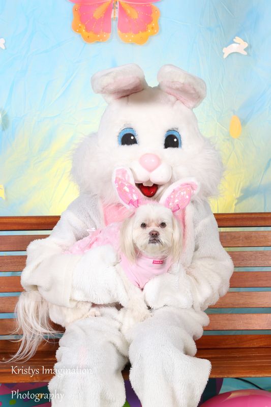 easter2016cc-4.jpg