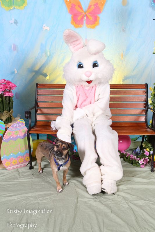 easter2016cc-46.jpg