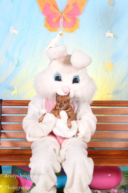 easter2016cc-49.jpg