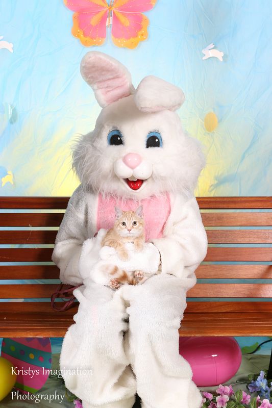 easter2016cc-52.jpg