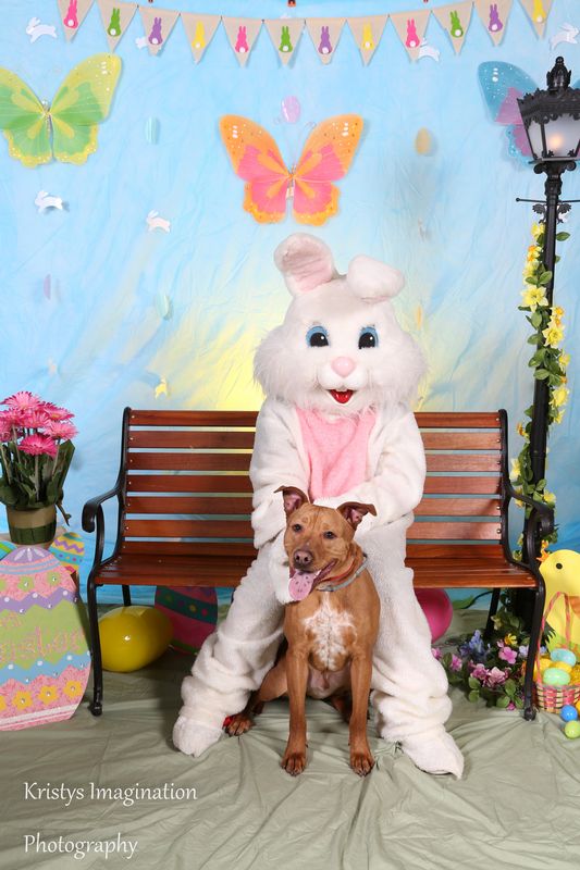 easter2016cc-54.jpg