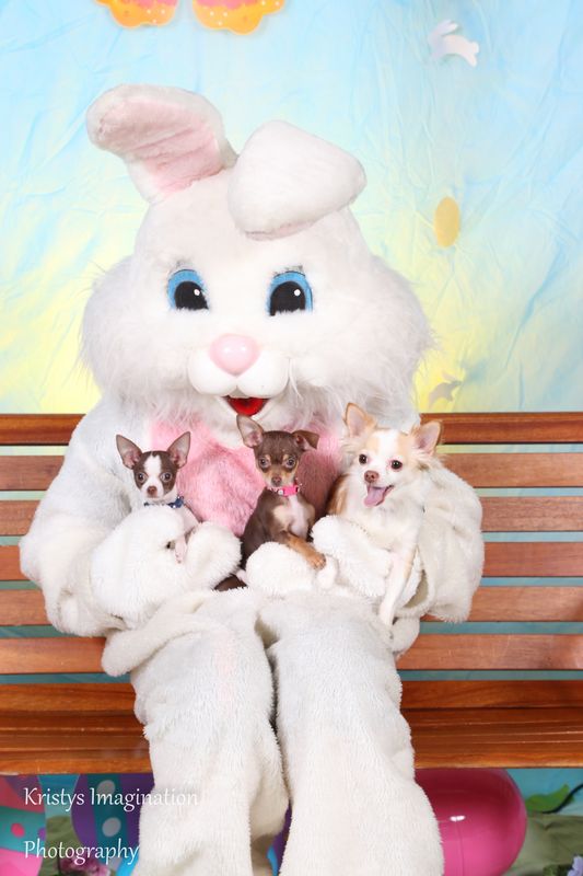 easter2016cc-59.jpg