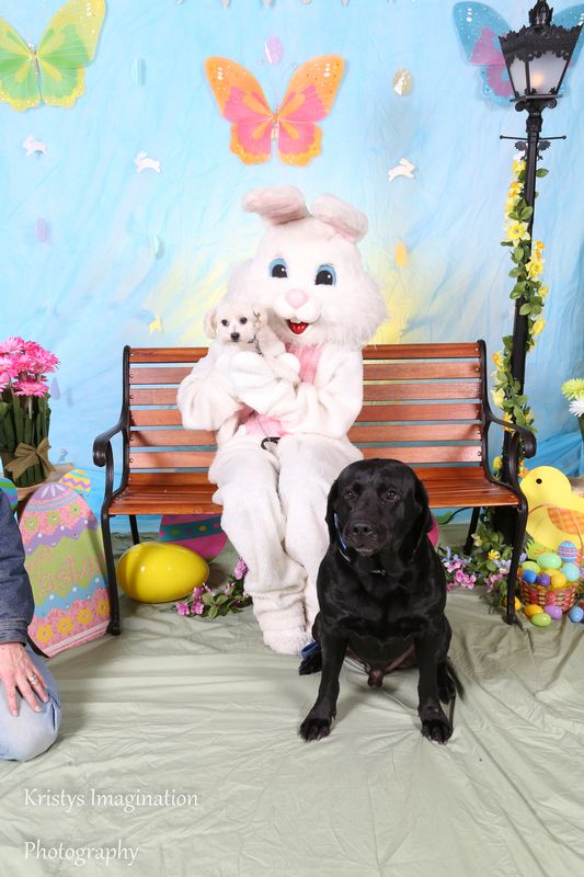 easter2016cc-6.jpg