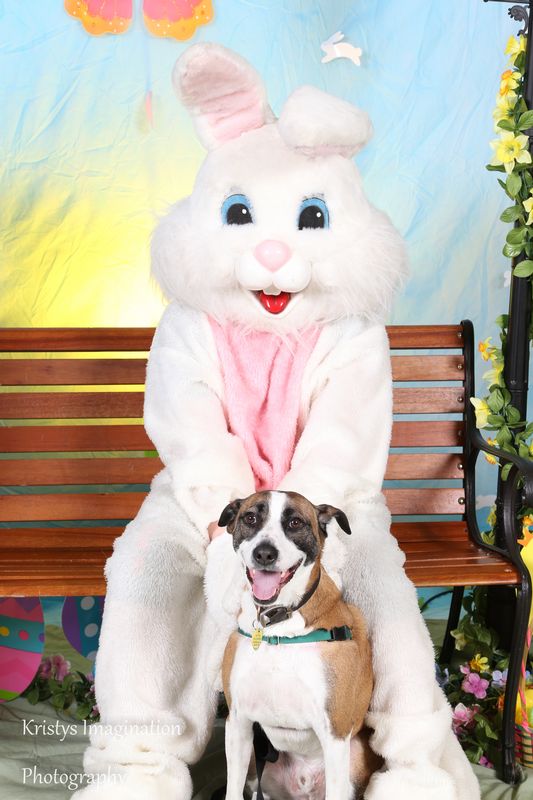 easter2016cc-60.jpg