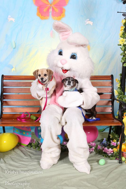easter2016cc-67.jpg