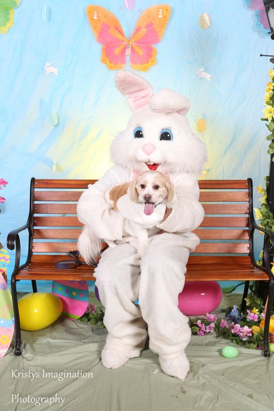 easter2016cc-69.jpg