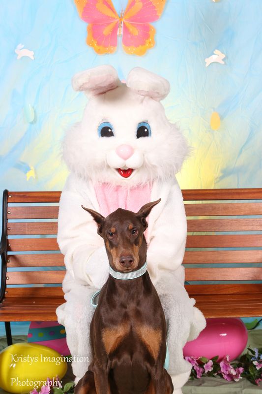 easter2016cc-7.jpg